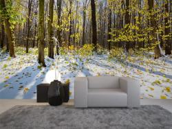 Fototapeten - Herbsttages