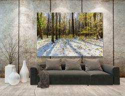 Fototapeten - Herbsttages