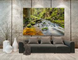 Wall Murals - Forest and River
