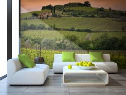 Fototapet - Toscana Italien