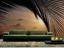 Palm Tree