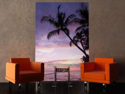 Palm Beach