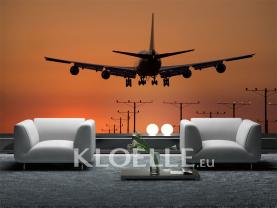 Flymodus