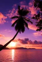 Fotobehang - Tropische Strand