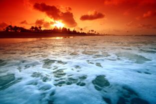 Fototapet - Solnedgang Strand
