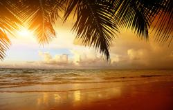 Wall Murals - Sunset on the Beach