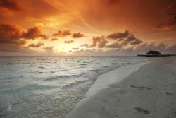 Wall Murals - Sunset on the Beach