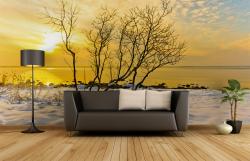 Snow Landscape Sunset