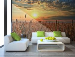 Wheat Field