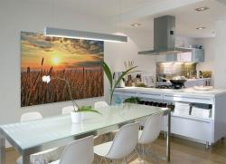 Wall Murals - Wheat Field