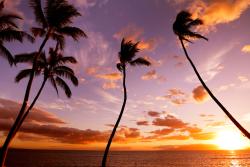 Wall Murals - Sunset on the Beach