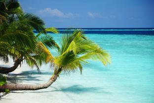 Fotomurali - Isola Maldive