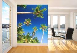Palm Trees