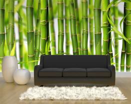 Bambu