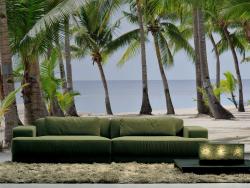 Palm Trees