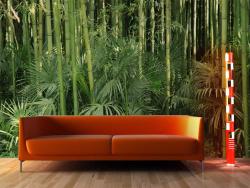 Bamboo