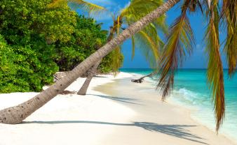 Fototapeter - Strand