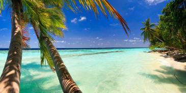 Fotobehang - Eiland