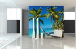 Palm Trees