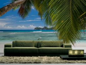 Palmboom Bladeren