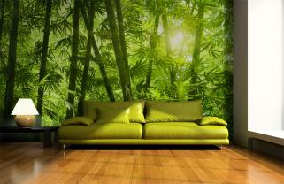 Bambu Skog