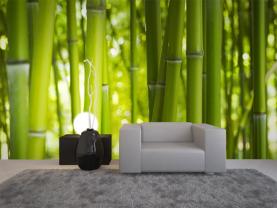 Bambu