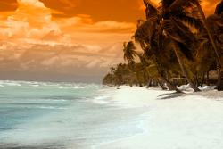 Wall Murals - Tropical Island