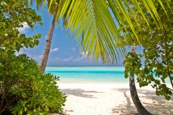 Wall Murals - Tropical Island