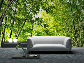 Bambu Skog