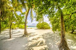 Wall Murals - Paradise Beach