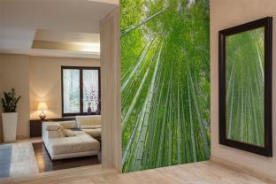 Bambu Skog