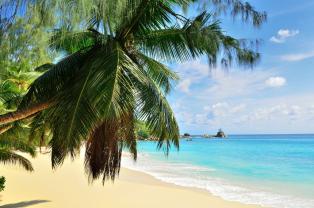 Fotomurali - Isola Seychelles
