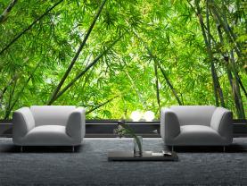 Bambu Skog