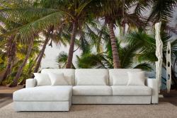 Palm Trees
