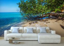 Paradise Beach