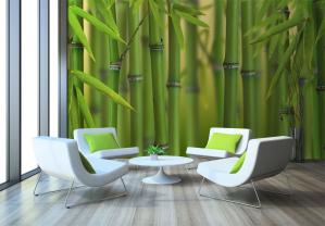 Bambu Skog
