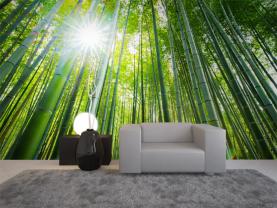Bambu Skog