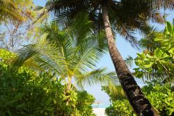 Wall Murals - Maldives Islands