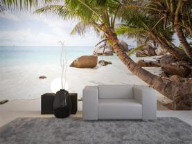 Ilha Tropical