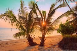 Wall Murals - Paradise Beach in Thailand