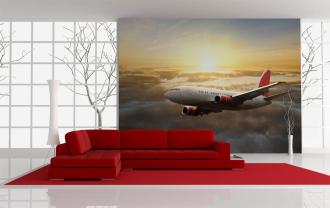Flymodus