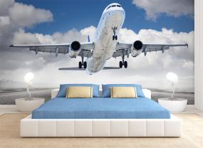 Flymodus