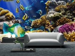 Sealife