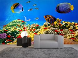 Sealife