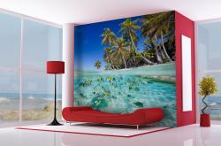 Tropical Sea Life