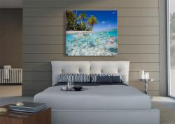 Wall Murals - Tropical Sea Life
