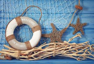 Wall Murals - Sea Stars