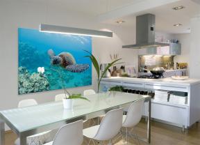 Wall Murals - Sea Turtle