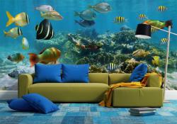 Underwater Life