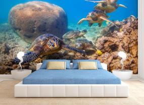 Zeeschildpad